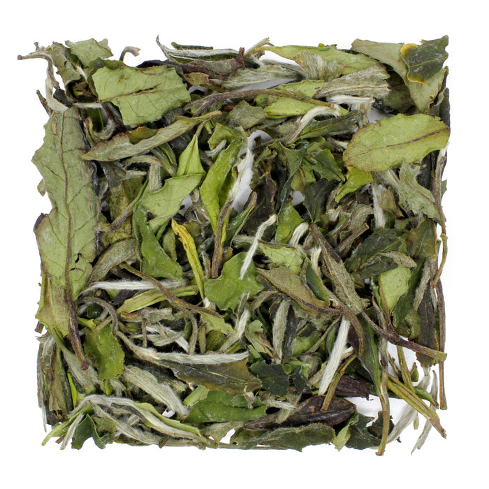 White Peony Bai Mudan - product