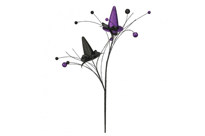 Witch Hat Spray